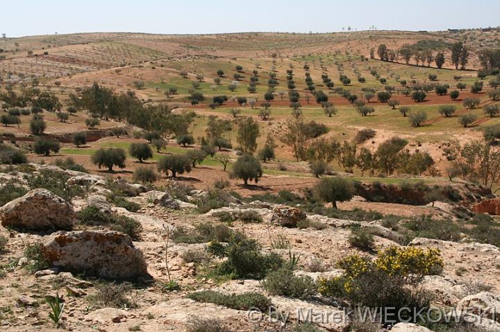 libya_jebel 002